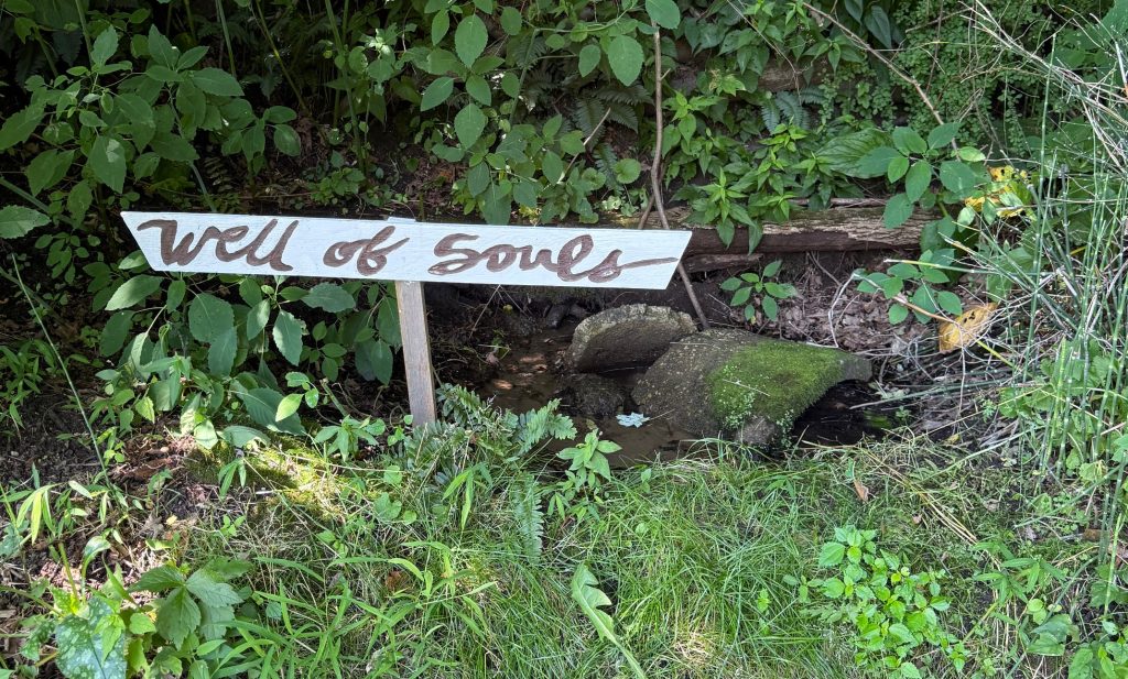 a signpost in the forest